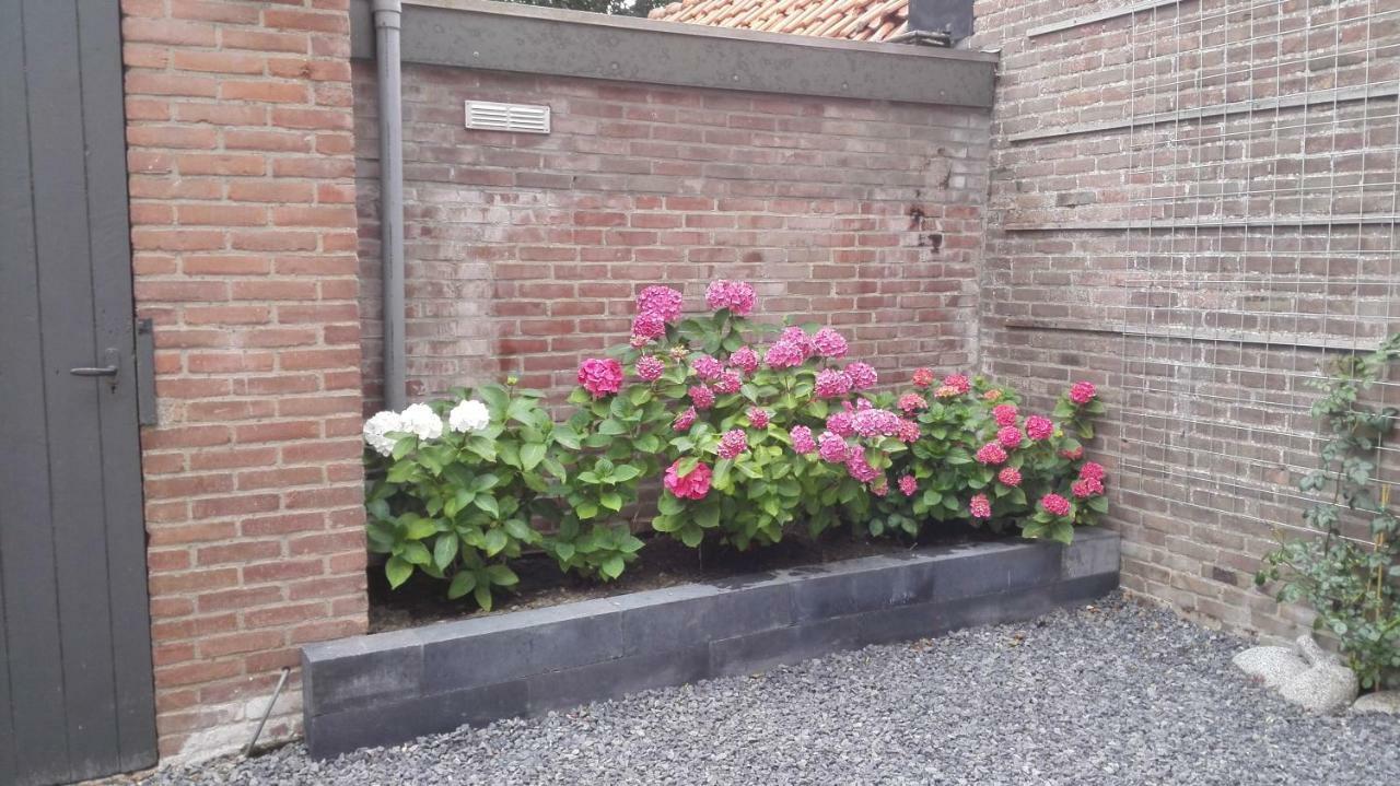 Bed and Breakfast De Notenbalk Aan Zee Флиссинген Экстерьер фото